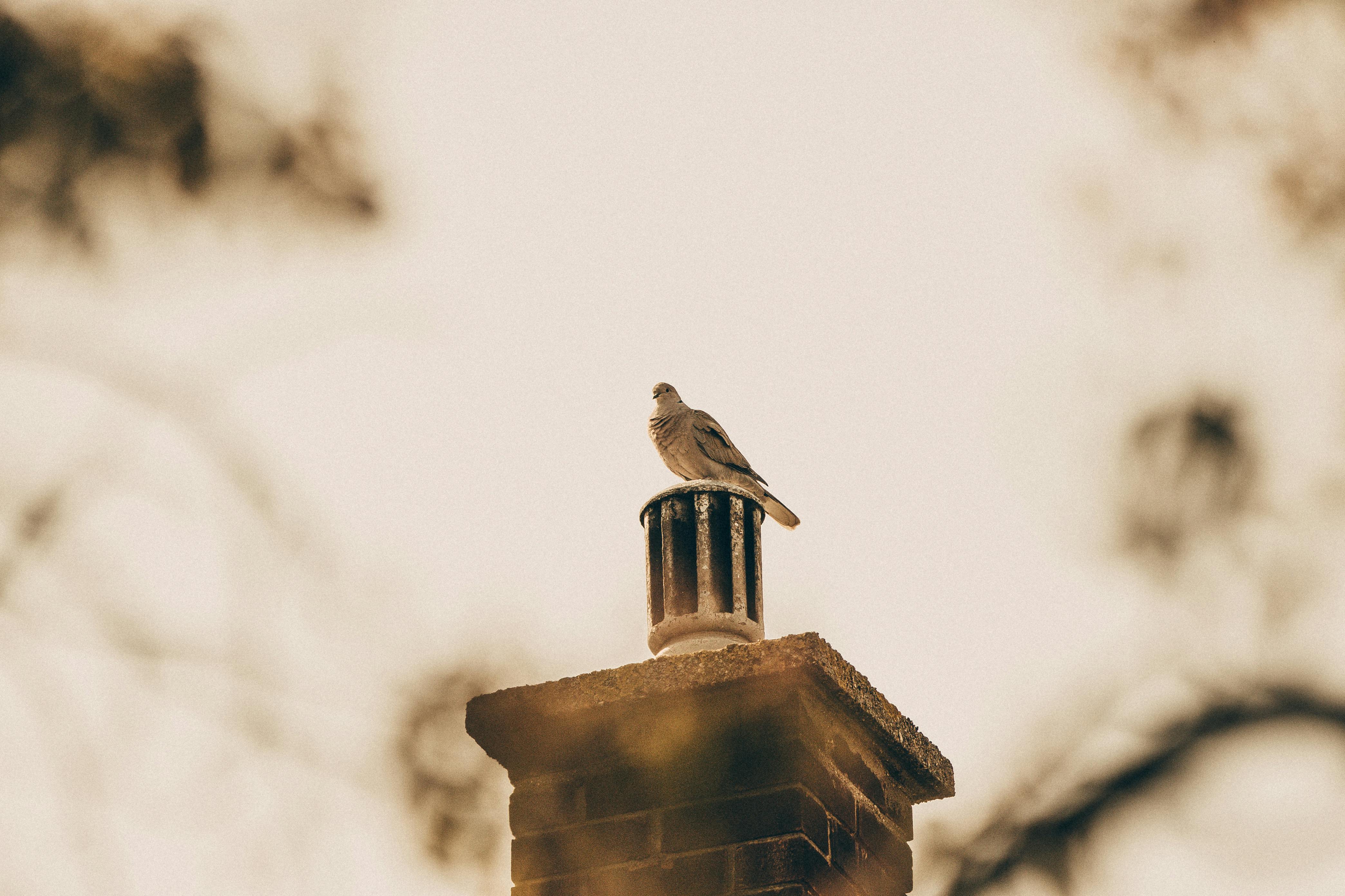 Quality Chimney Caps and Dampers Installation in Berlin, MA Professional Chimney Cap and Damper In Berlin Massachusetts